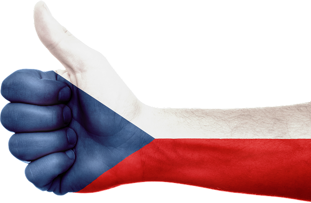 vlajka na ruce