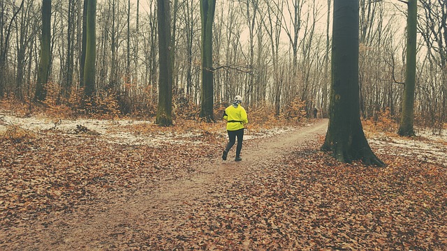 treking v lese